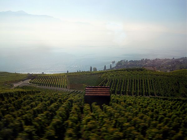 Blick aus dem Zugfenster über den Genfer See