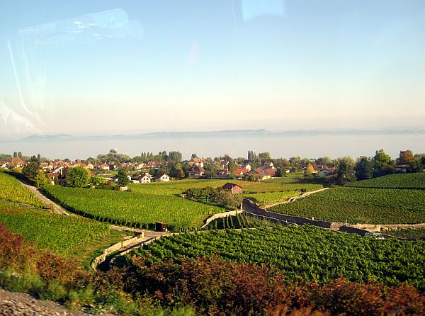 Neuenburgersee (Lac de Neuchâtel)