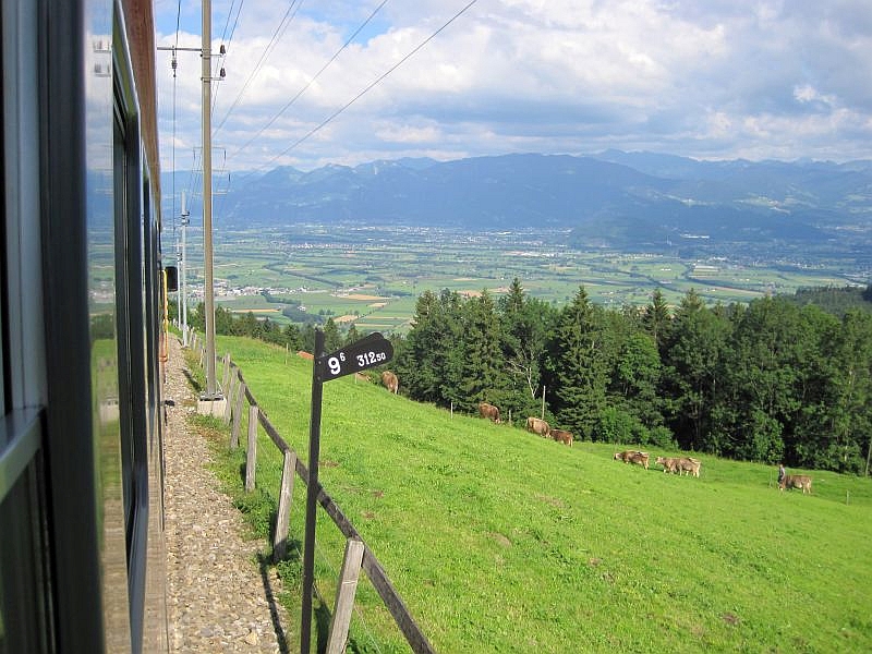 Blick vom Zugfenster ins Rheintal