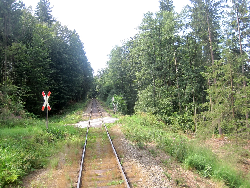 Fahrt durch den Neuburger Wald