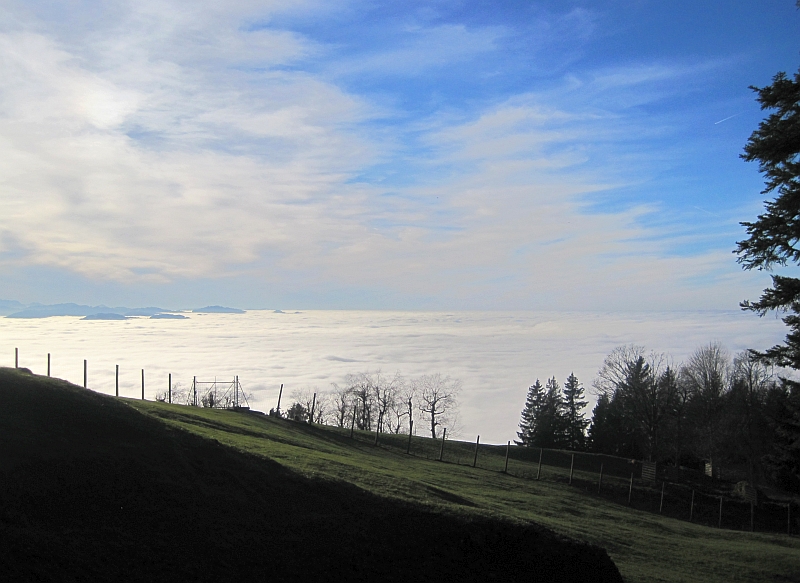 Nebel über dem Bodensee vom Pfändergipfel