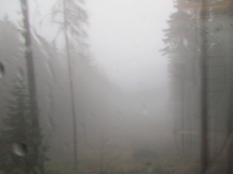 Fahrt im Nebel über den Erzgebirgskamm